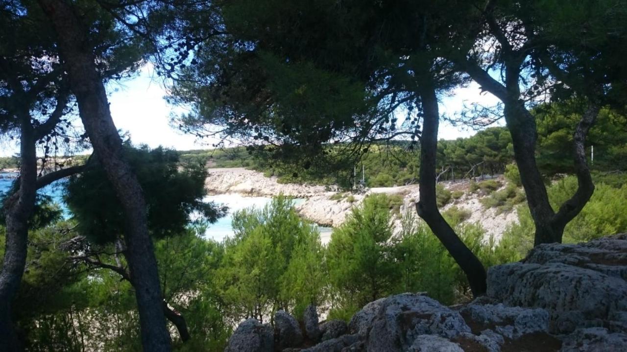 Appartement Vue Mer Le Chant Des Cigales Sausset-les-Pins Zewnętrze zdjęcie